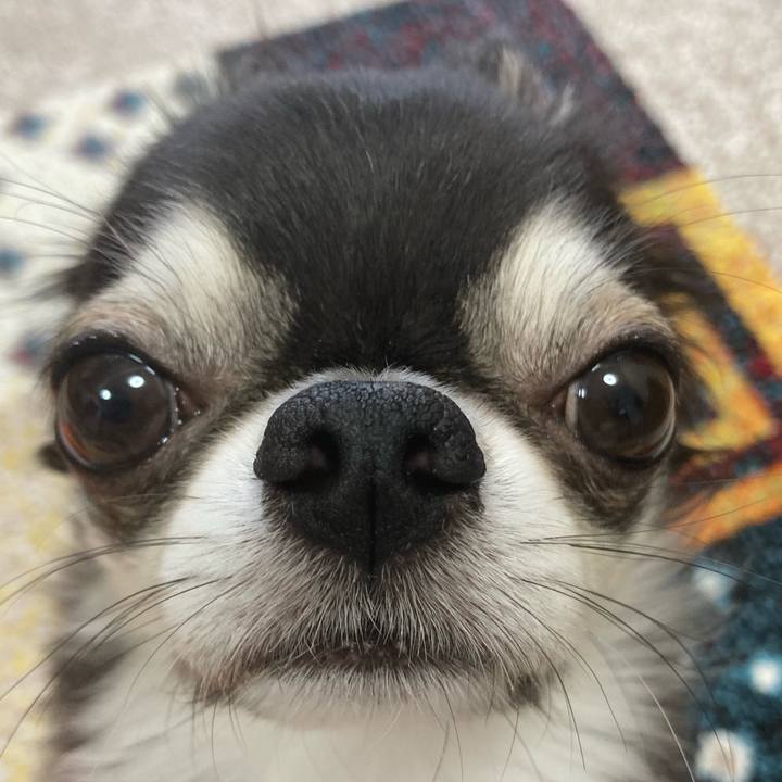 6a7f2894 7f31 4068 a52c 420c12a0af2b 1691877019592