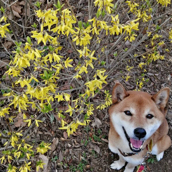 6a7f7f90 27f0 41d9 9944 6441ba538c4c 1615876870116