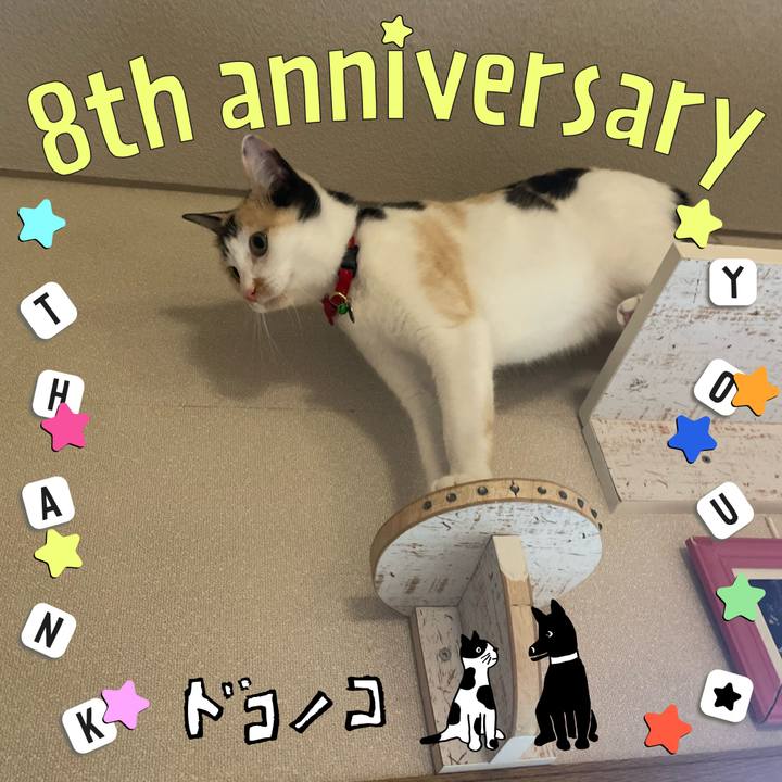 6a7f87eb d9e7 494f 8ae8 4aafde94569e 1717587567788