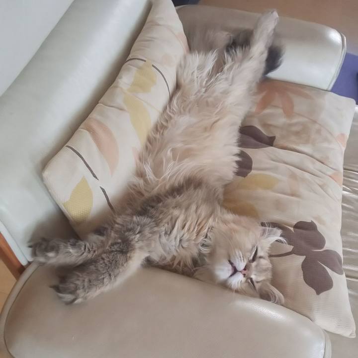 6a7f8b62 37da 4087 ac50 8cdfa2cef8fe 1560924171538