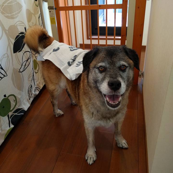 6a7f8bf6 ae7e 44c7 a016 4fa8e2e0ee98 1532392763028