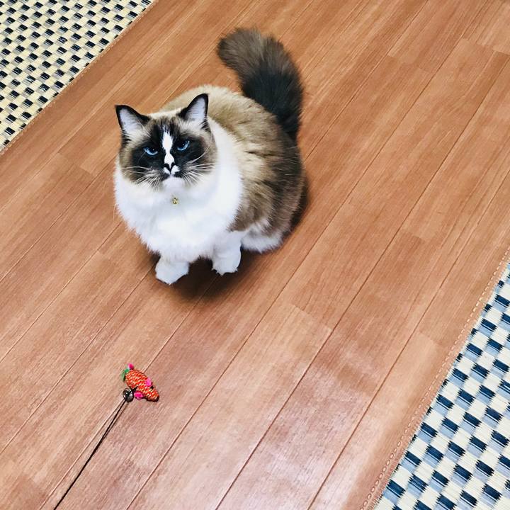 6a7f8c96 4717 4244 9ac2 590cc5264f3c 1515412792885