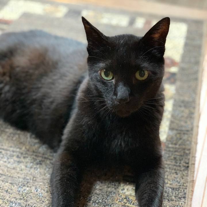 6a7f929d 15bf 4f18 a3e7 5a564edaf0c3 1596331543243