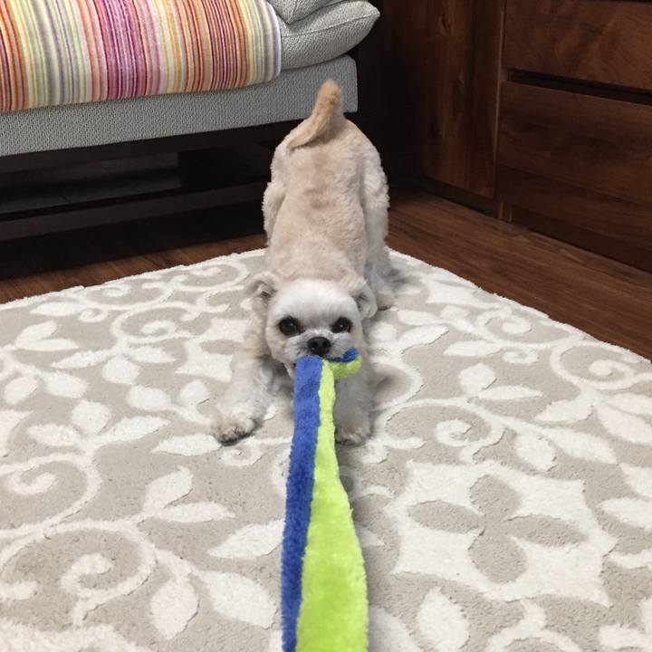 6a800d62 984b 479d b08a 0df6980d3df8 1549873799819