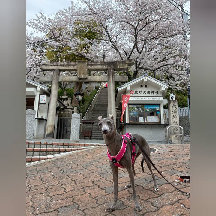 6a805159 2172 4f40 ab4c 43a2325eb282 1775552374495