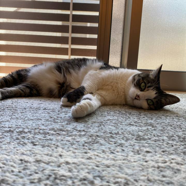 6a8056a6 a104 4d34 be91 78da7faa1ab0 1690673319393