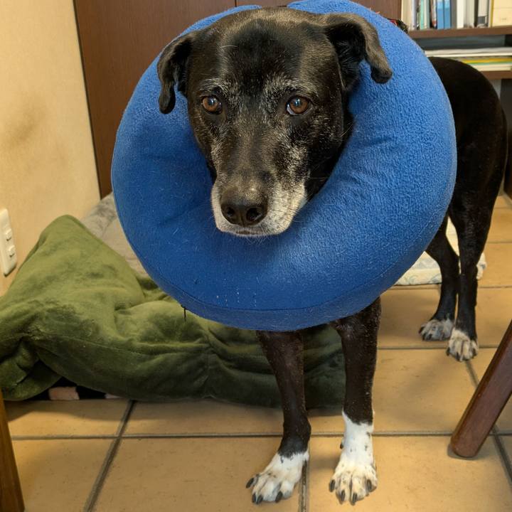 6a80662d 6d2d 4cd9 aed5 62789e626892 1768437081937