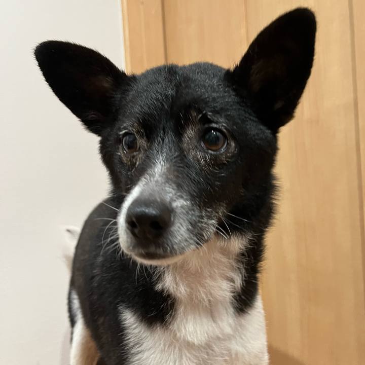 6a80b165 3450 46ac a51b 9ddbdd23cf14 1685362469170