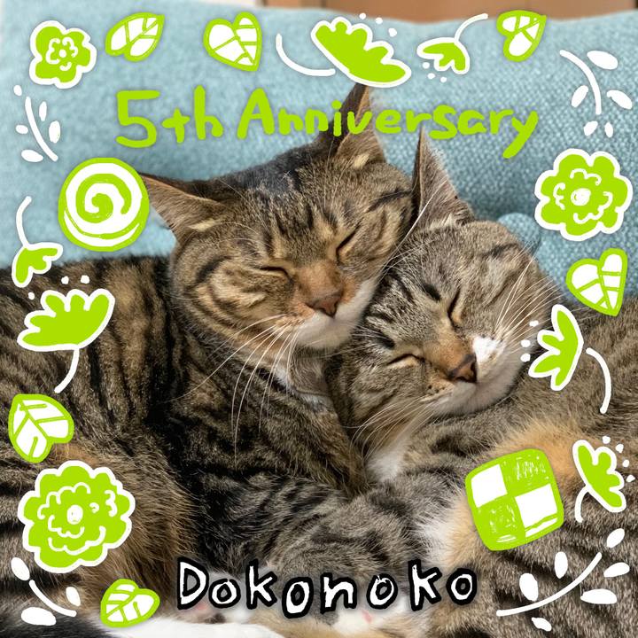 6a80d37a c586 4422 bbf9 d8c2ae90c9df 1623075521151