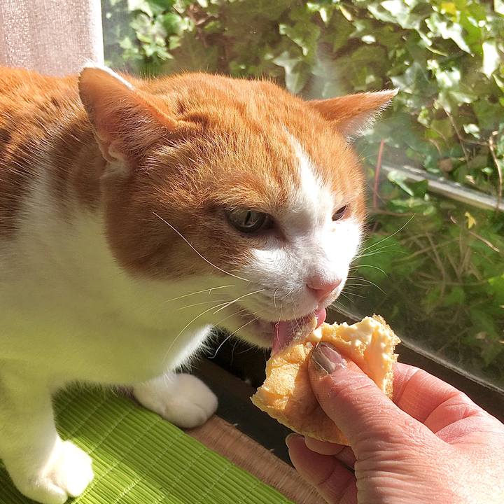 6a8109ec 5a3b 4b9e 8cc4 ca04e65adddd 1616142041078