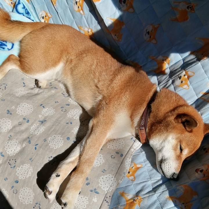 6a8143b5 a052 4537 b803 dcba1d4bdffc 1612068195709