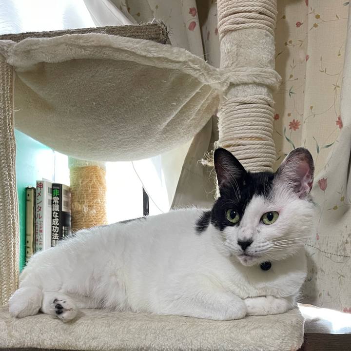 6a8149c0 c0f5 47d3 bfdb 44d1bbf7ce96 1756087010701