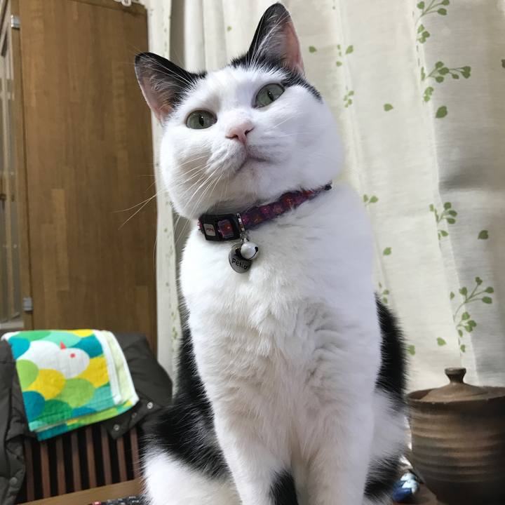 6a816336 e03b 4421 9f2b 2a9fbe7032ac 1518262539842