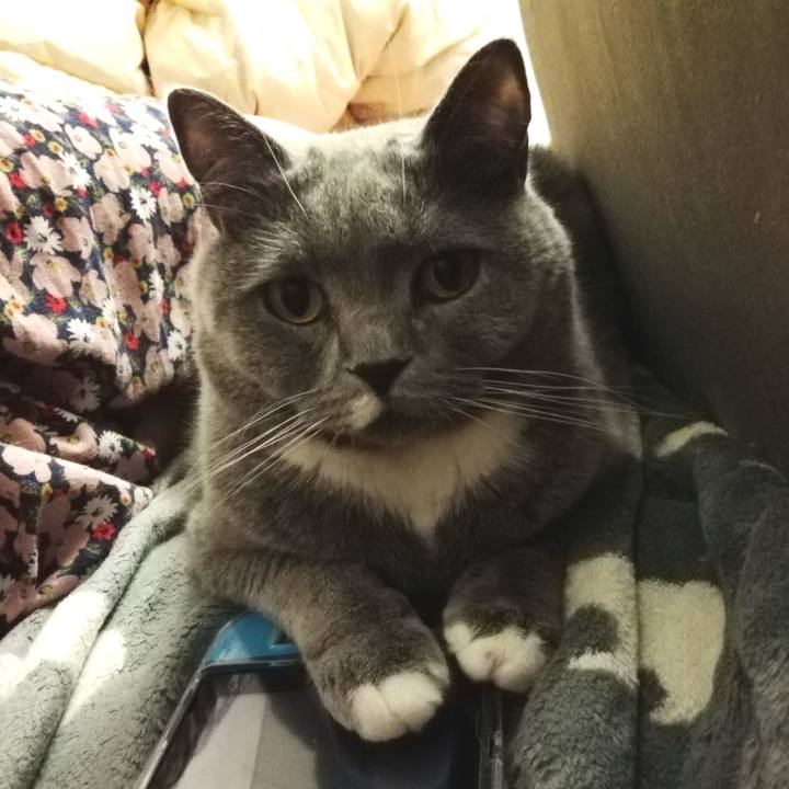 6a8169dc ea0b 4bd6 aab2 82afbed00e01 1620131530578