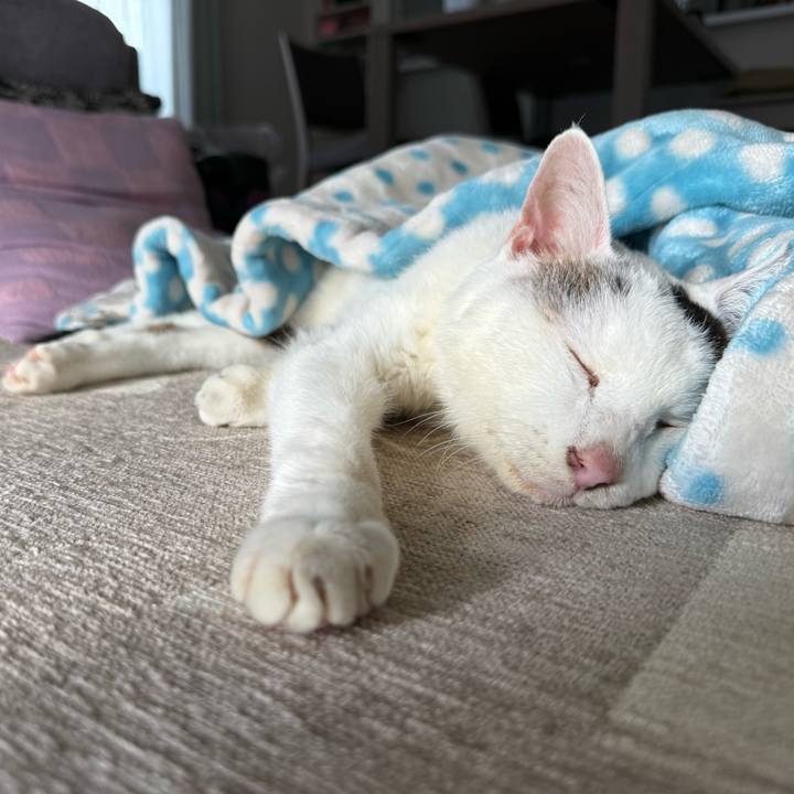 6a817727 8ae9 406c ada2 56f1a78b4098 1764381646658