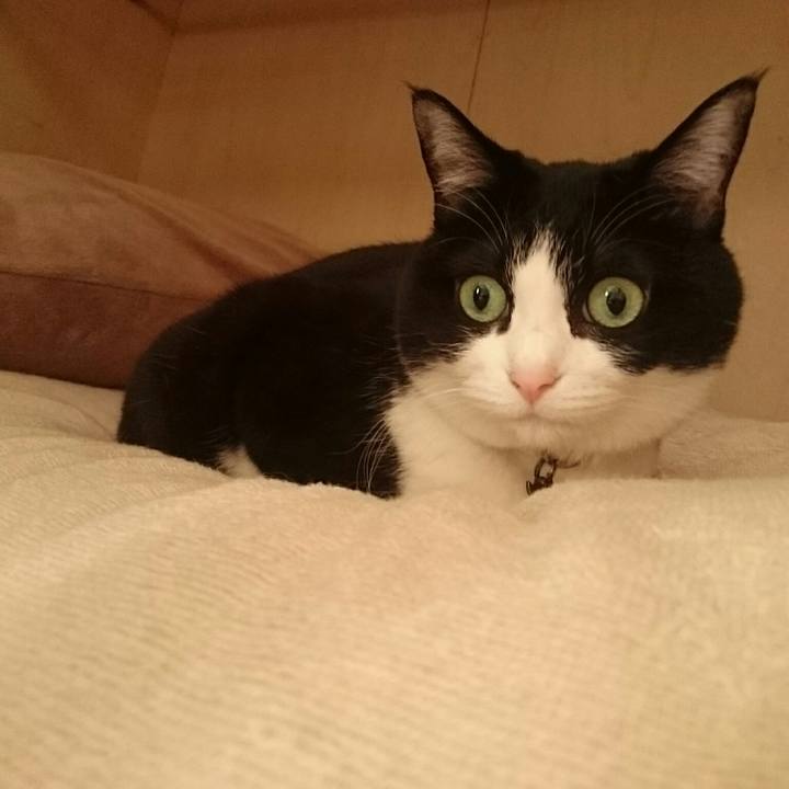 6a818964 ada5 44b7 a92a 67ec2829fe9c 1555929015062