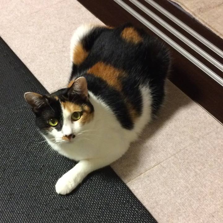 6a818e0c eea5 485f 8d68 a45bd87fcffd 1597033380248