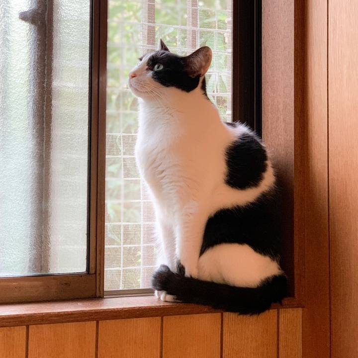 6a81913a a1f5 4178 abb1 dab1b8856096 1574300511371