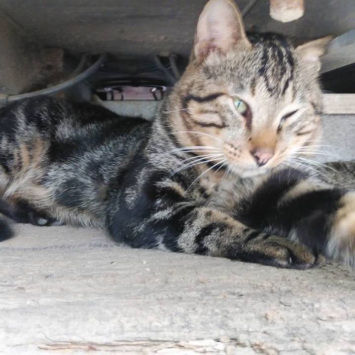 6a81968b 3c91 4e89 968f c9196adc7926 1568336033451