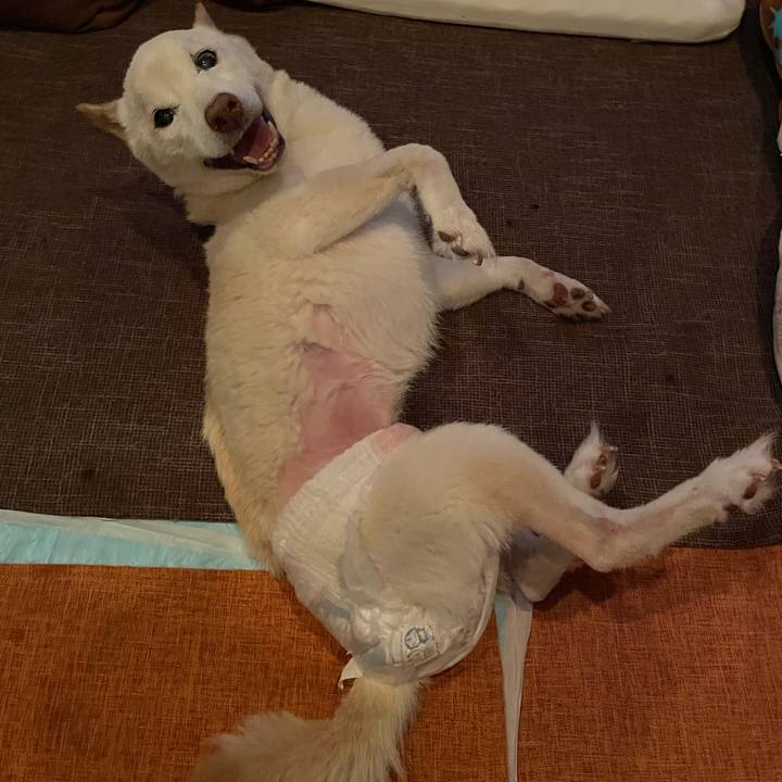 6a81af43 11f9 49f1 b496 0ce88c4a690c 1669211631029