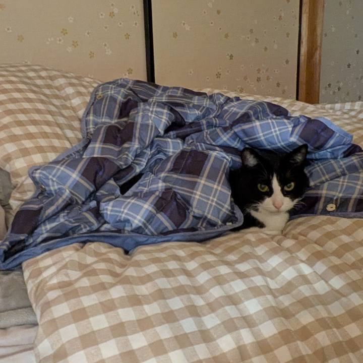 6a8276c2 7b79 4a74 944a 8a8910f29af5 1763708973205