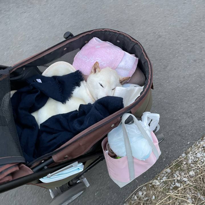 6a8277e9 84ad 40fc 91b5 4521bdb31ec5 1675945458310