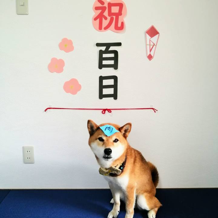 6a827c98 2333 42a6 9a11 a049b870f1b0 1622281269625