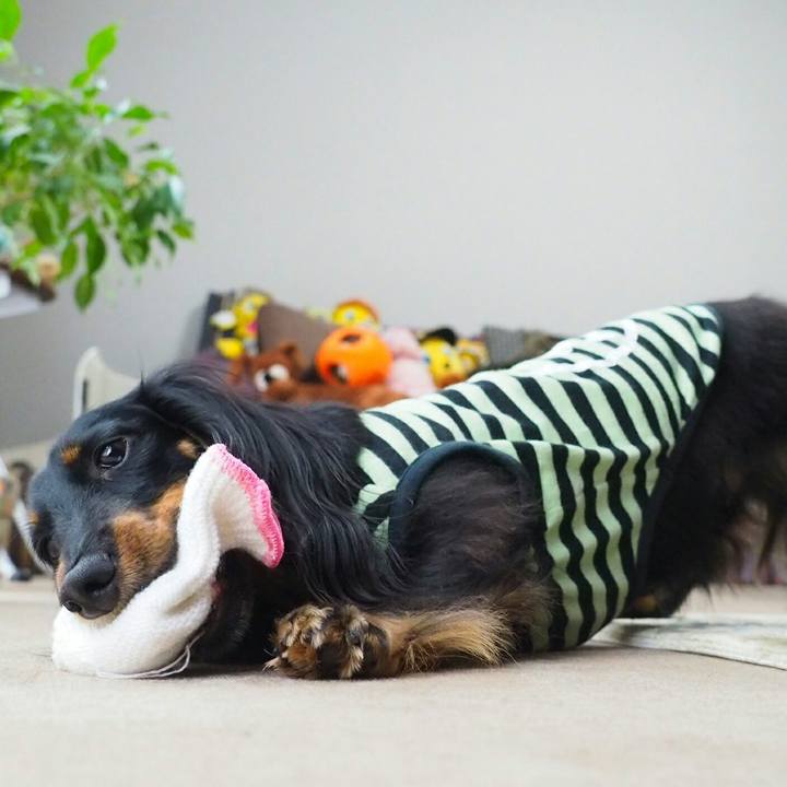 6a828c80 e64f 4960 82dd a8d96b2ddaa3 1525828711622