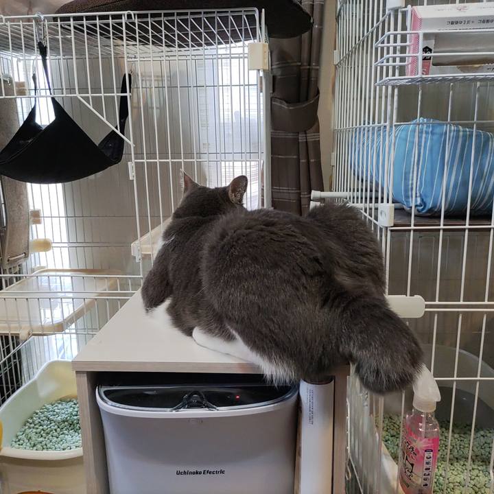 6a82a2c4 5b46 4b01 99b5 b4d661db39b3 1655108127380