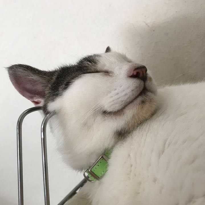 6a82aa9f 853d 43a4 b82c 8616a7e20e90 1533447076663