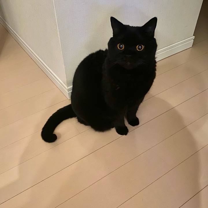 6a82ac8a 1ee8 435e aed0 43f6e535b4e2 1764851735206