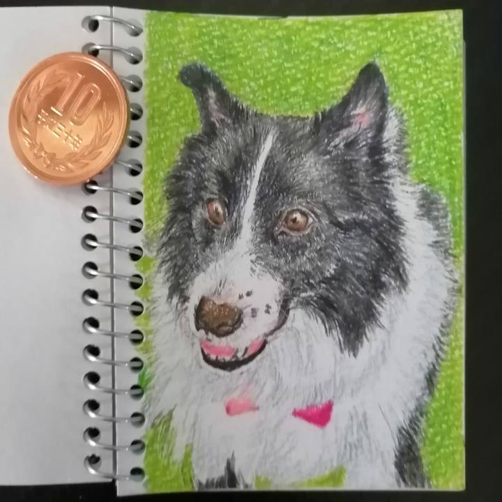 6a82b43c bfc4 4d33 bc42 bf5a8ef2cb6e 1665383966169