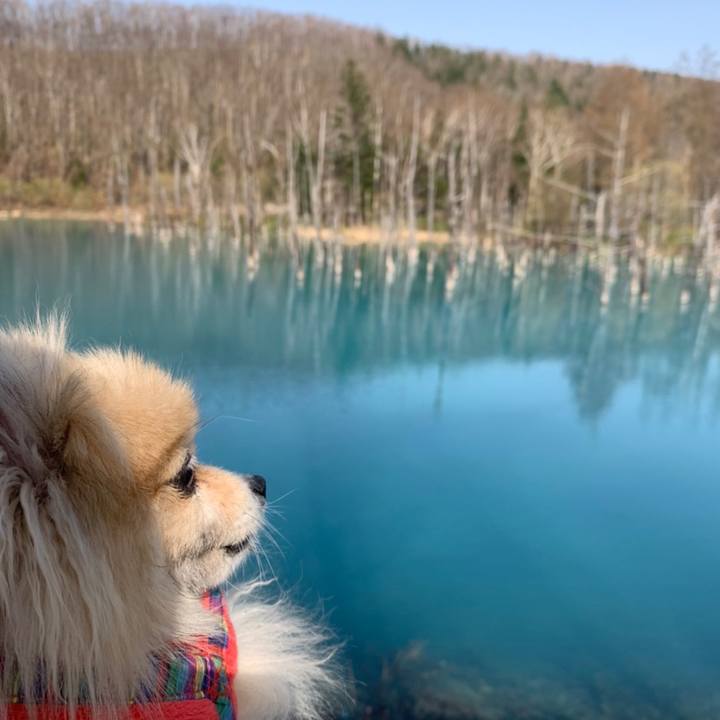 6a82e943 048a 4faa bc4c 94d65857c848 1651759078101