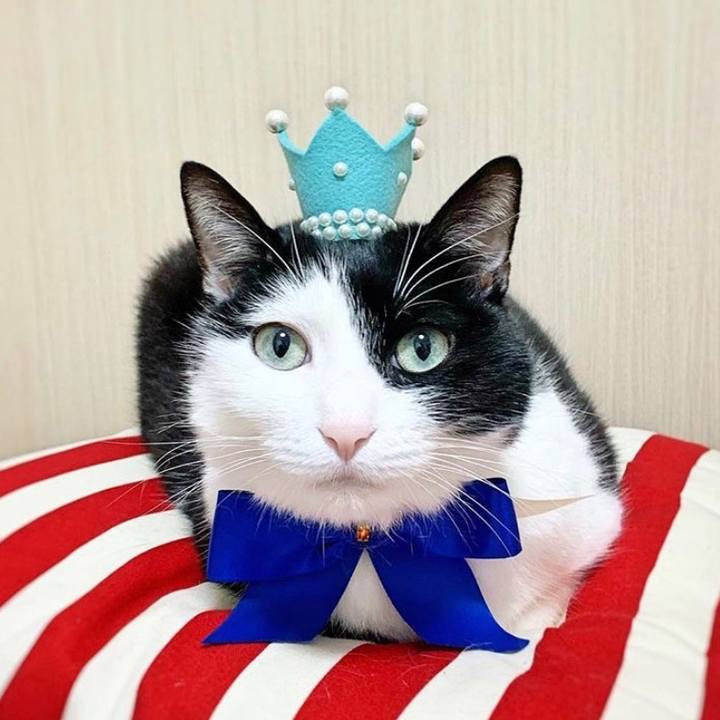 6a82f7b3 64c4 47c6 8a8f a2741f884873 1570197795000