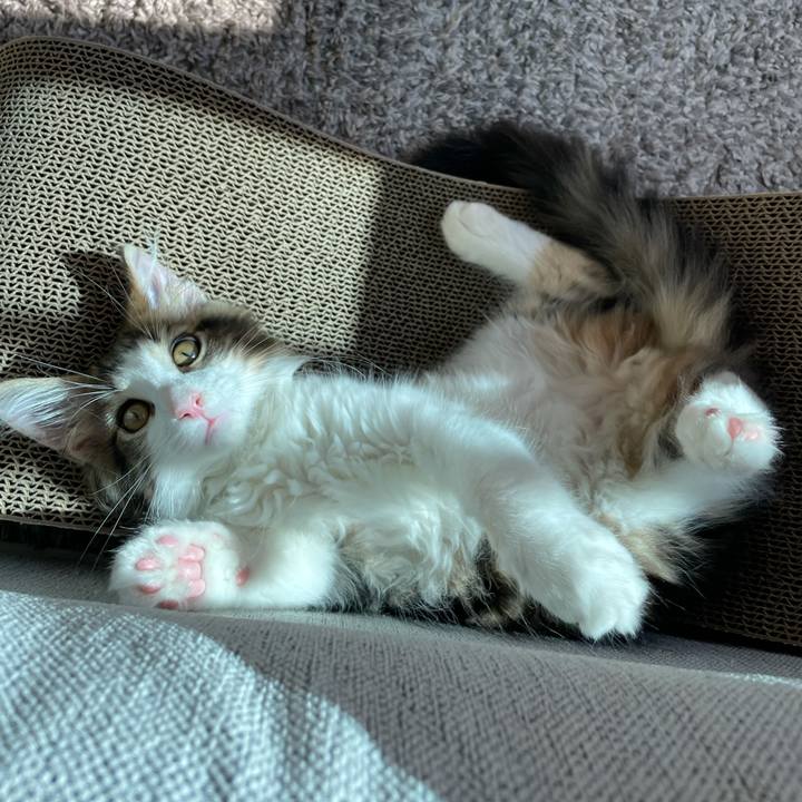 6a83193b f110 4f99 9dfb e75cf070574e 1632549522166