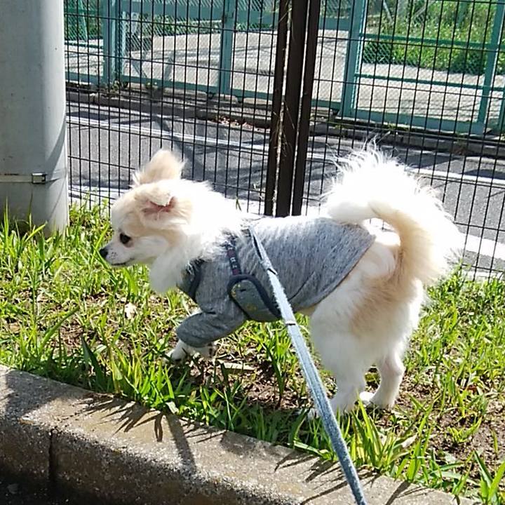 6a833235 2771 4a87 870b d09c9f8e04bc 1619924937700