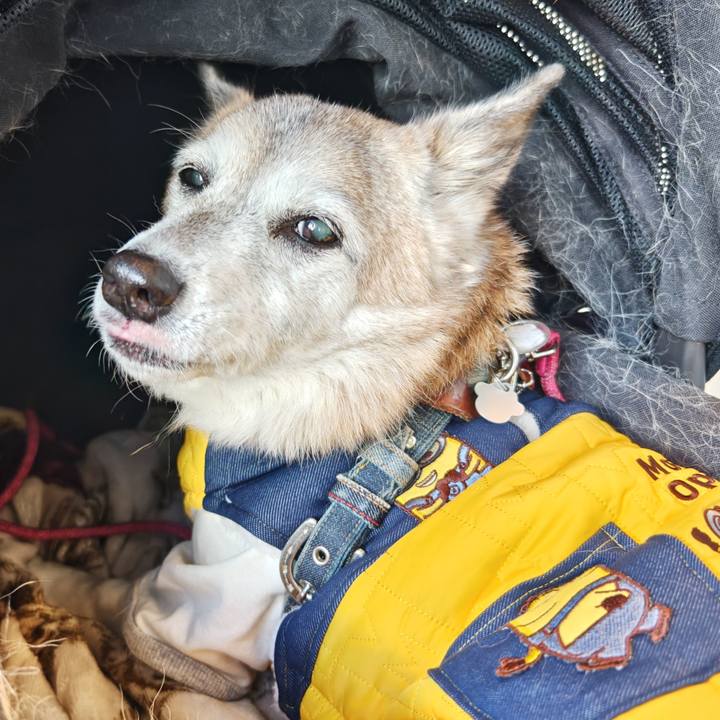 6a8370fb f601 4243 9add 8b6b63ac4f4e 1767933597965