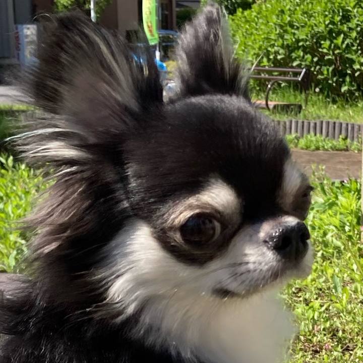 6a83c23c 9624 4617 b680 c9e9a6a21ca4 1651559182835