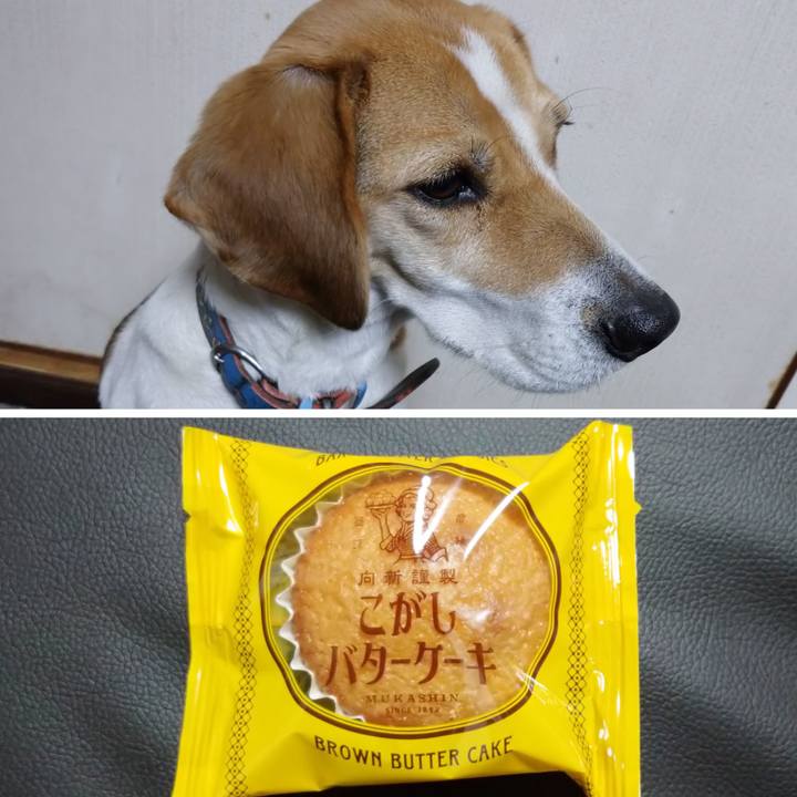 6a83dab4 68be 4e48 b26f f30749c2ae65 1611385013974