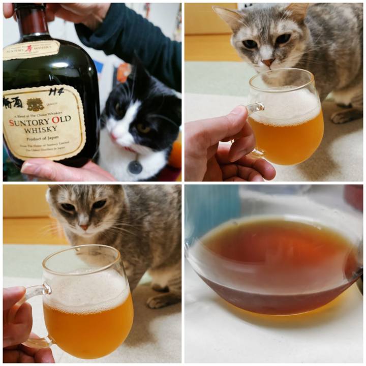 6a83e367 9d5f 43fc b617 aab3a335d3d0 1648477574017