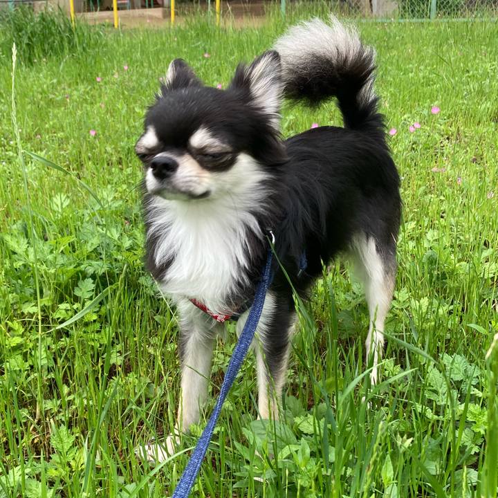 6a841677 a80d 4231 bebc 2e452c1407db 1621676386639