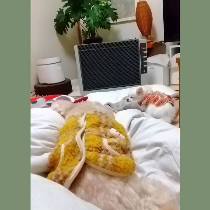 6a841e57 c8f5 4e9a a33e 23d190683f88 1639313227273