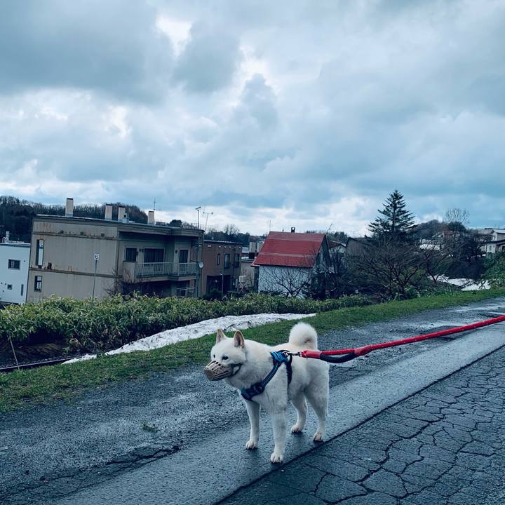 6a842372 1391 4e94 bdee 5ec56bdb8190 1680994510275