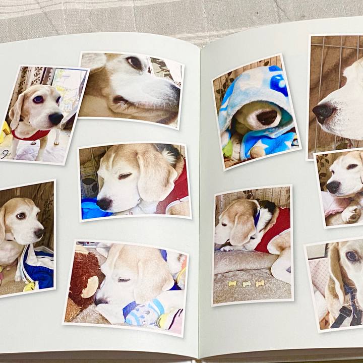 6a843265 6c2e 4d2b 896d 1980c68ddbd9 1598931259364