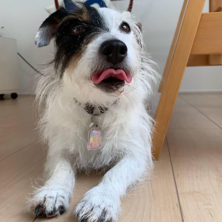 6a8496b7 6e7a 45c6 8477 504e60939b35 1653635388662