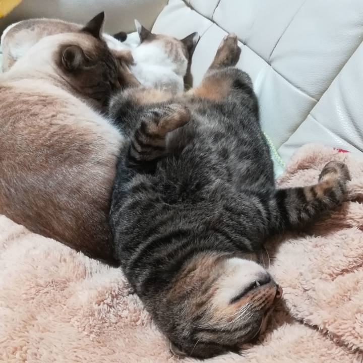 6a849872 0c9b 4f96 b7c3 b56fc2026837 1578664924598