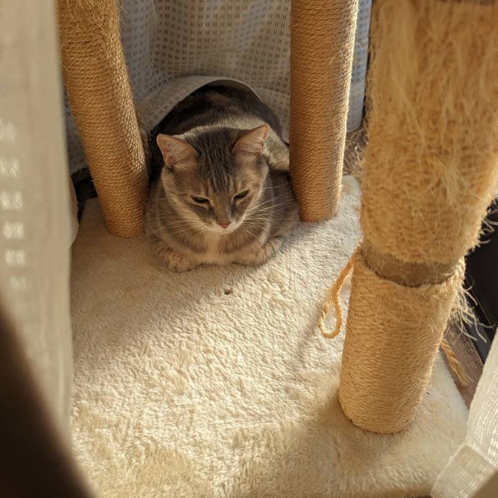 6a84b231 7d81 4ee4 b9c7 fd8e9dff8bde 1712806701377