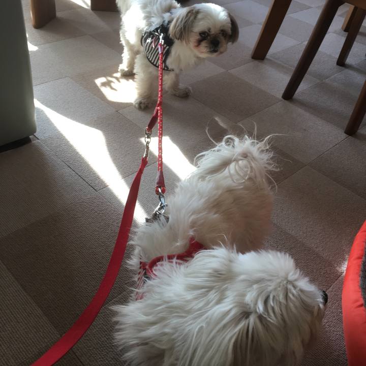 6a84ce1e 739d 47f8 be4c fe4a23d367eb 1515301725387