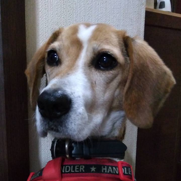 6a84e084 1b12 487b a537 b3d7c583e81c 1709636402414