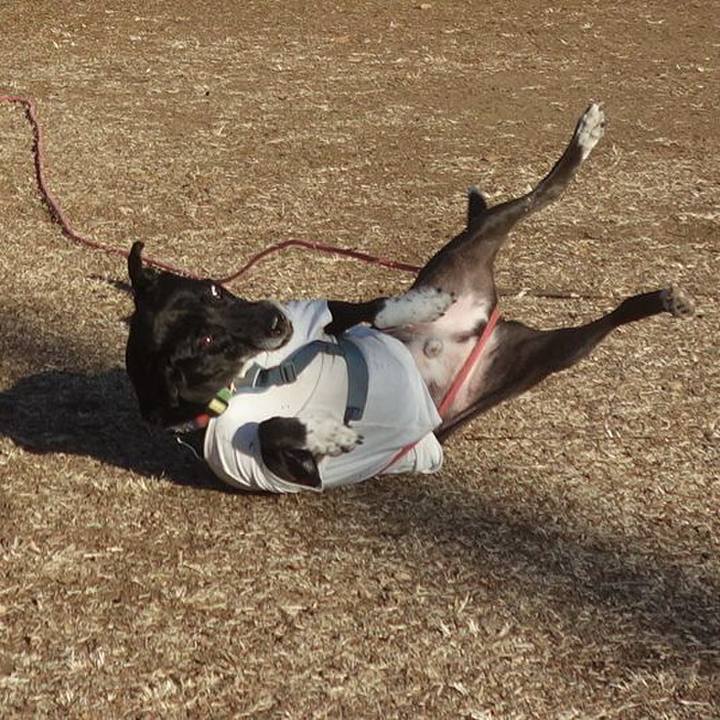 6a8530d9 56fe 48af 8834 f19107ca16c0 1706749362152